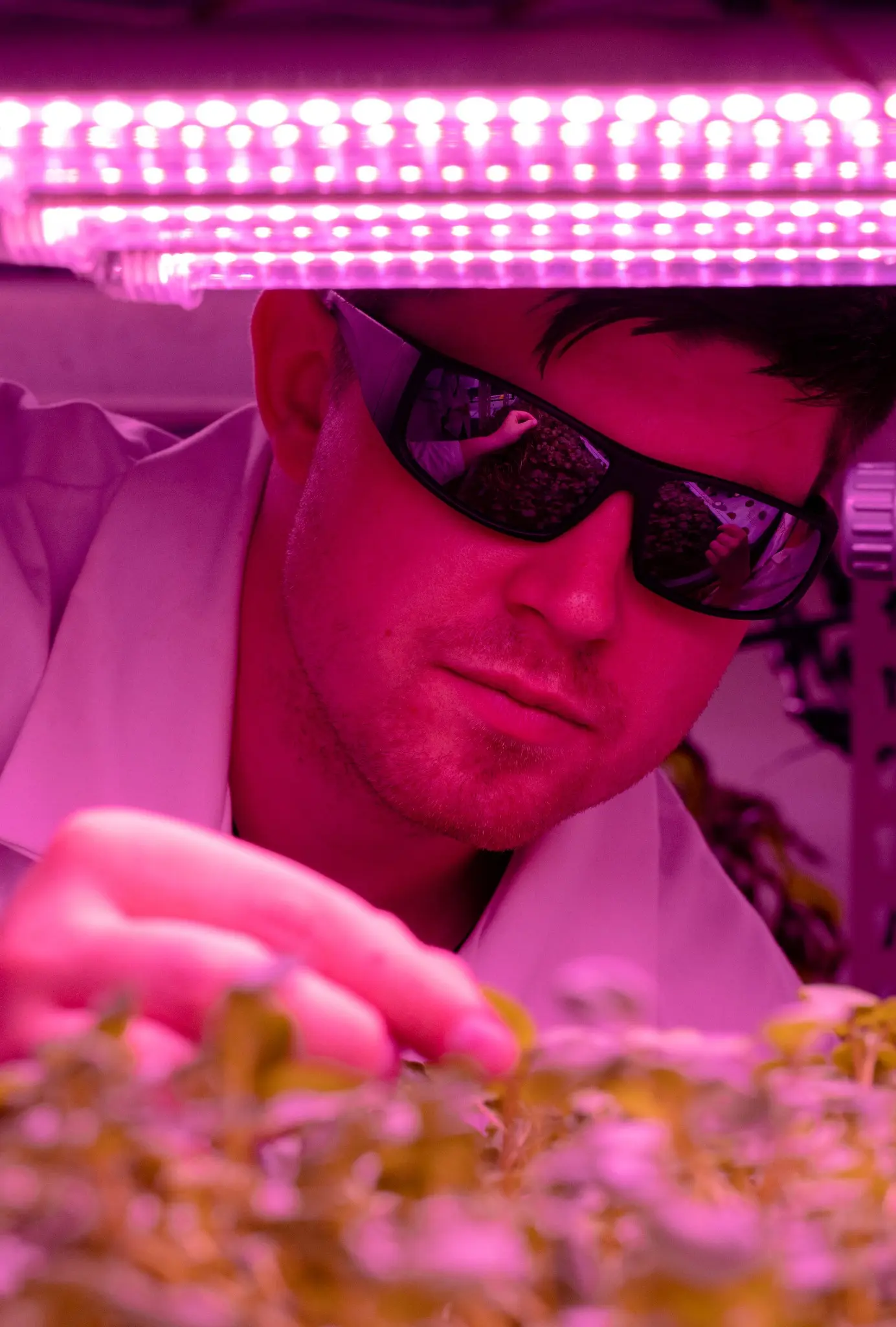 Crop inspection beneath LED fixtures in a controlled growing environment