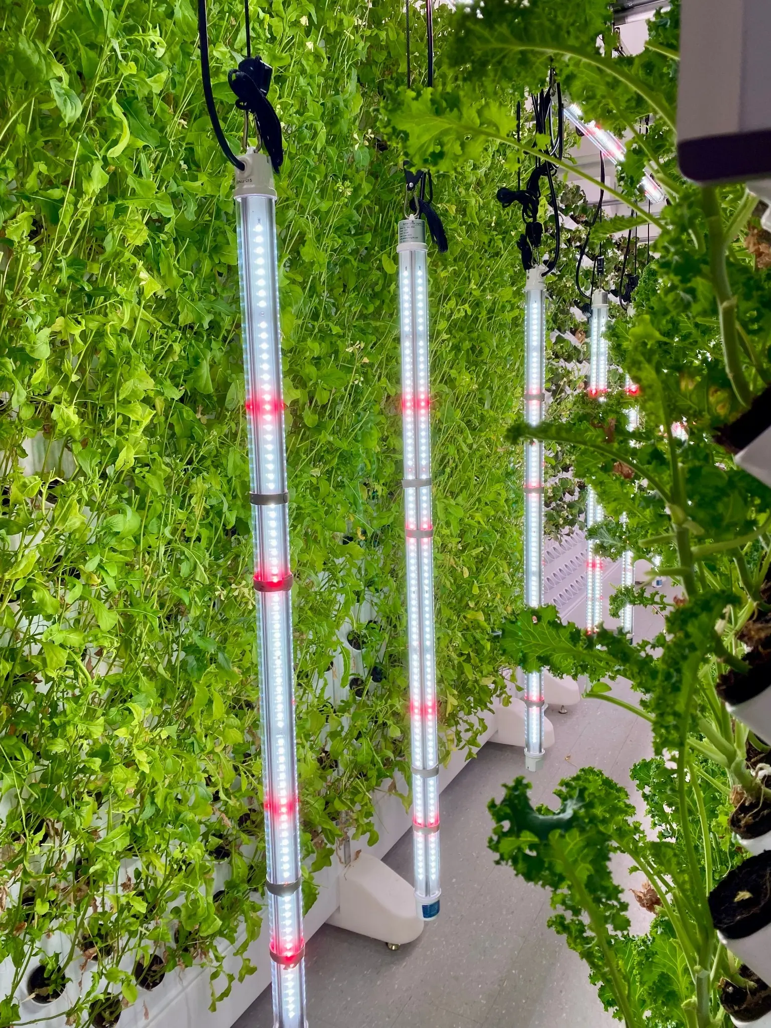 Vertical crop production system with integrated LED lighting